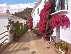 Balcones Alpujarra Apartamento bajo - calle